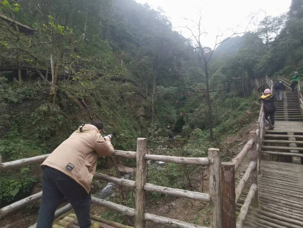 峨眉山猴子被拘留？假的！峨眉山猴子是國(guó)家二級(jí)保護(hù)動(dòng)物