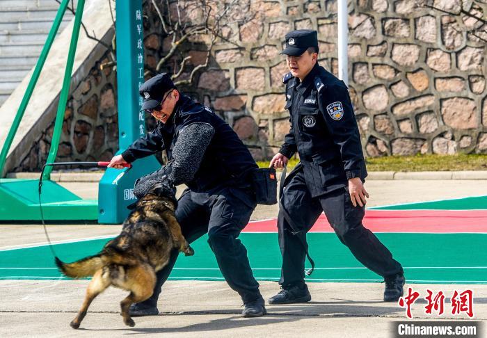 吉林邊境檢查站警犬春訓(xùn)忙