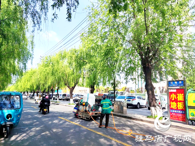 開發(fā)區(qū)城管局精準(zhǔn)治理柳絮