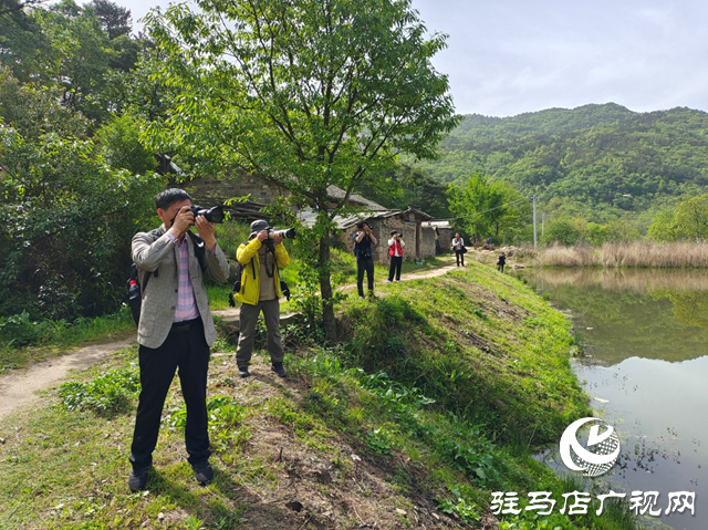 “走進蓮塘古村落 與歷史悠然邂逅” ——駐馬店市青年攝影家協(xié)會開展攝影采風(fēng)活動