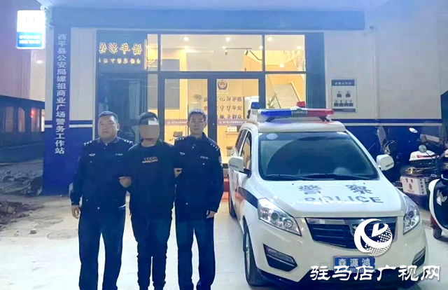 十小時！西平警方破獲系列盜竊沿街門店案件