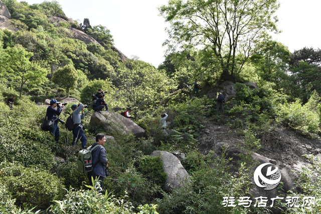 “走進蓮塘古村落 與歷史悠然邂逅” ——駐馬店市青年攝影家協(xié)會開展攝影采風(fēng)活動