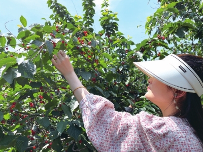 5·19中國旅游日將至，免票、半價......鄭州各大景區(qū)優(yōu)惠政策出爐