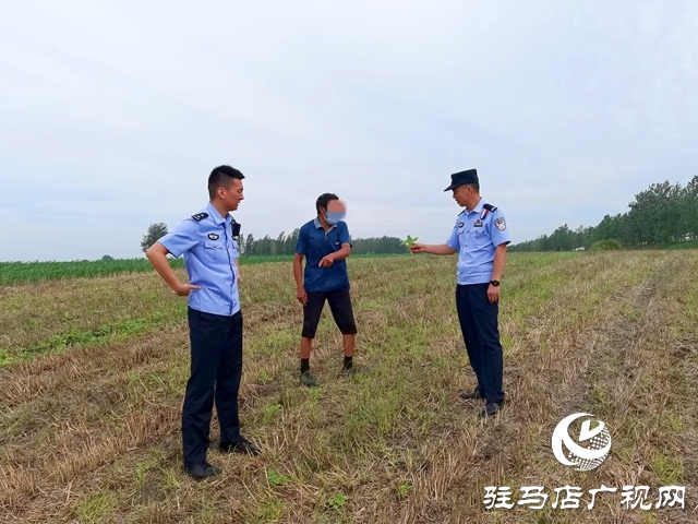  平輿：麥田除草引糾紛 耐心調(diào)解促和諧