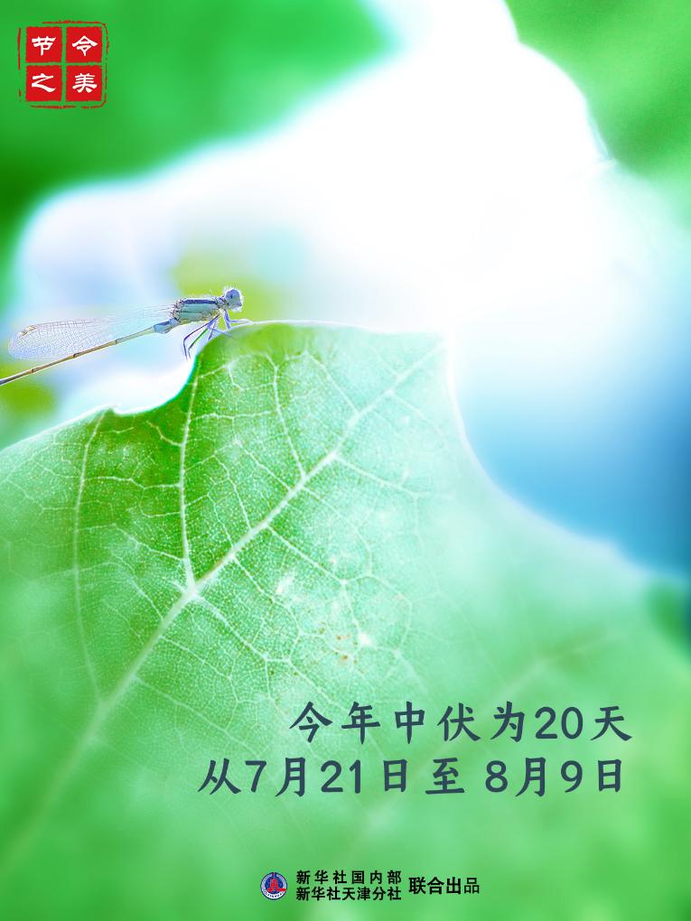 節(jié)令之美丨21日中伏：夏有三伏，熱在中伏