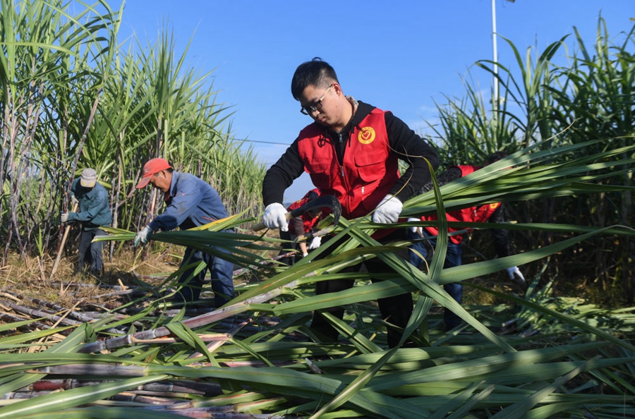 鐘華論：將調(diào)查研究發(fā)揚(yáng)光大