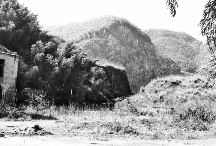 第一視點丨人不負青山 青山定不負人——余村十八年