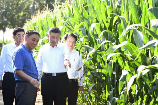 跟著總書記看中國丨吉林黑土地上筑起中國大糧倉