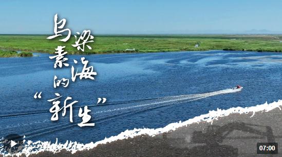 時(shí)政長(zhǎng)鏡頭丨烏梁素海的“新生”