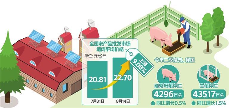 預(yù)計下半年豬肉供需總體平衡 豬價將在合理范圍內(nèi)波動