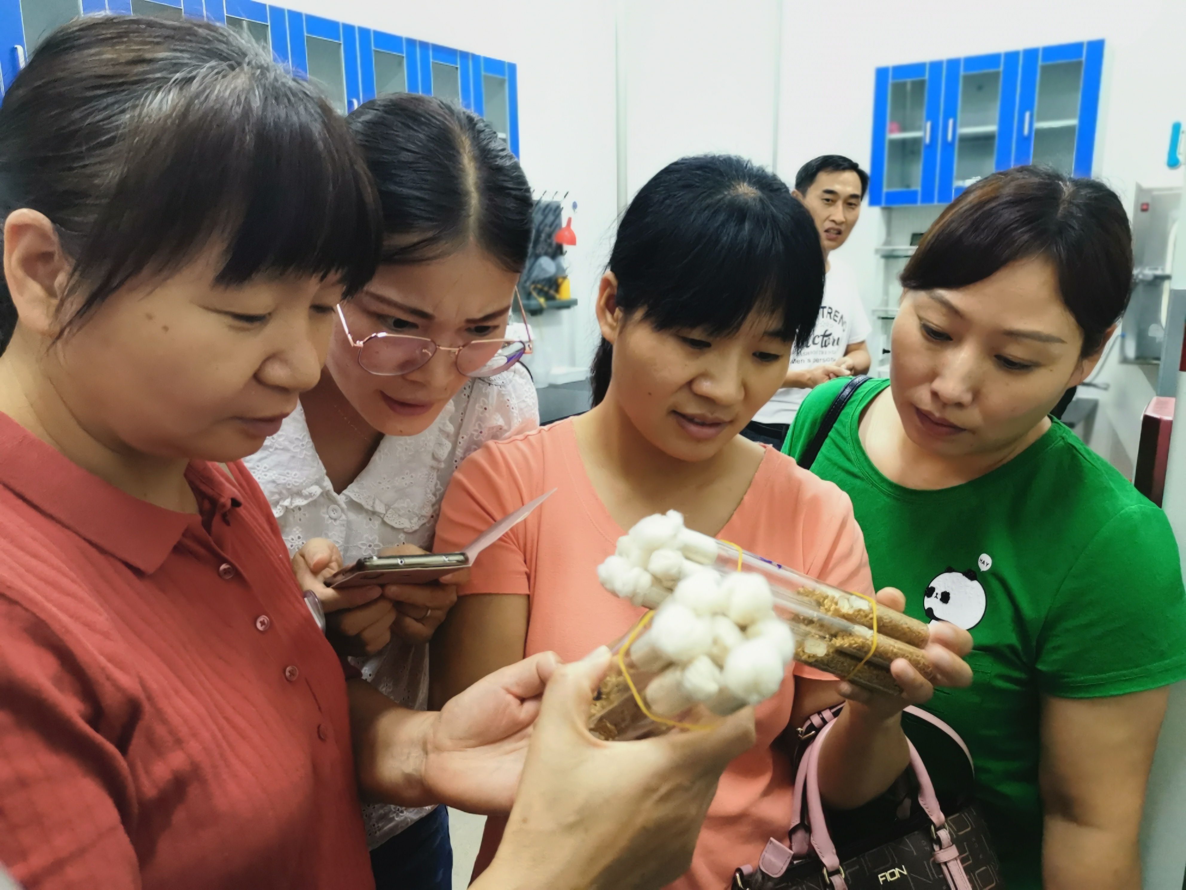 創(chuàng)新河南 創(chuàng)出新彩|從0到1的堅(jiān)守與突破——河南省食用菌產(chǎn)業(yè)技術(shù)體系發(fā)展歷程回顧