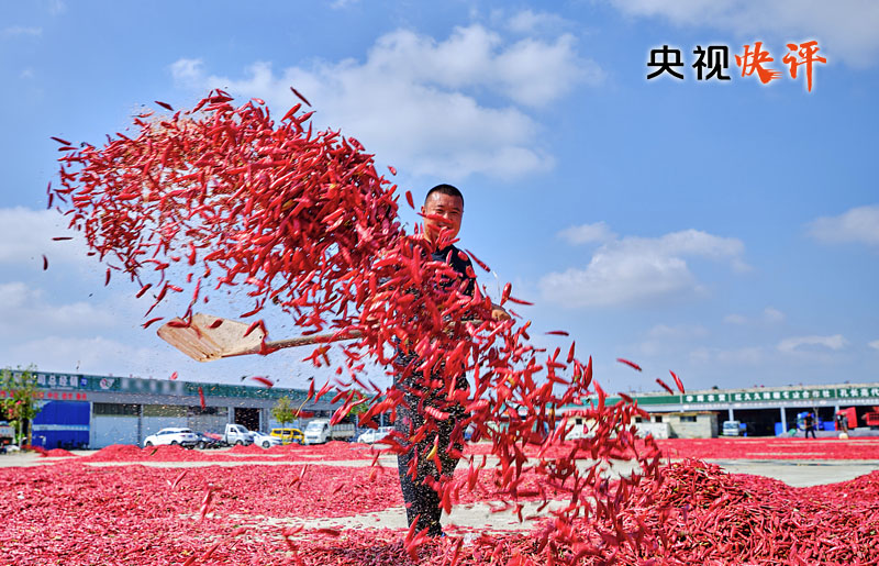 【央視快評(píng)】讓農(nóng)民腰包越來(lái)越鼓、生活越來(lái)越美好——慶祝第六個(gè)“中國(guó)農(nóng)民豐收節(jié)”