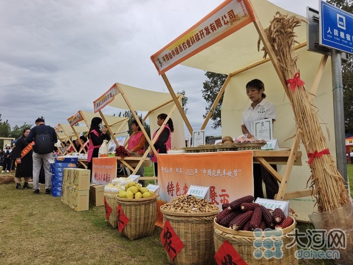 稻花香里說豐年丨劉蘭芳點贊種糧大戶！平頂山慶祝2023年中國農(nóng)民豐收節(jié)