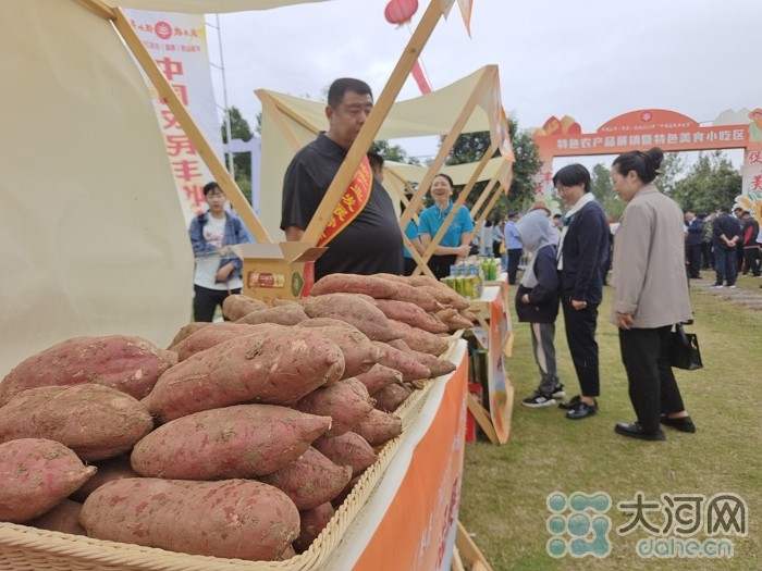 稻花香里說豐年丨劉蘭芳點贊種糧大戶！平頂山慶祝2023年中國農(nóng)民豐收節(jié)