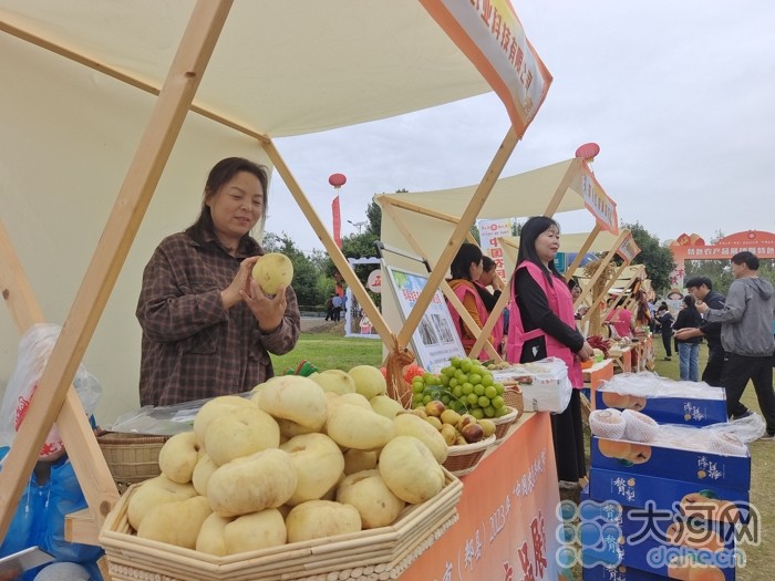 稻花香里說豐年丨劉蘭芳點贊種糧大戶！平頂山慶祝2023年中國農(nóng)民豐收節(jié)