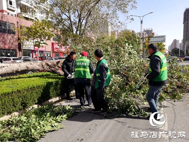 市智慧城市服務中心消除安全隱患 保障城市安全運行