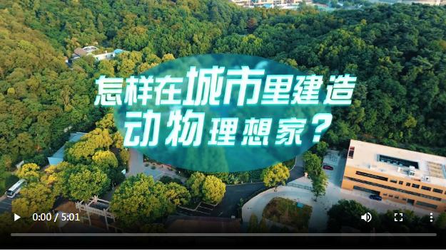 中國式現(xiàn)代化·青年的回答丨怎樣在城市里建造動物理想家？