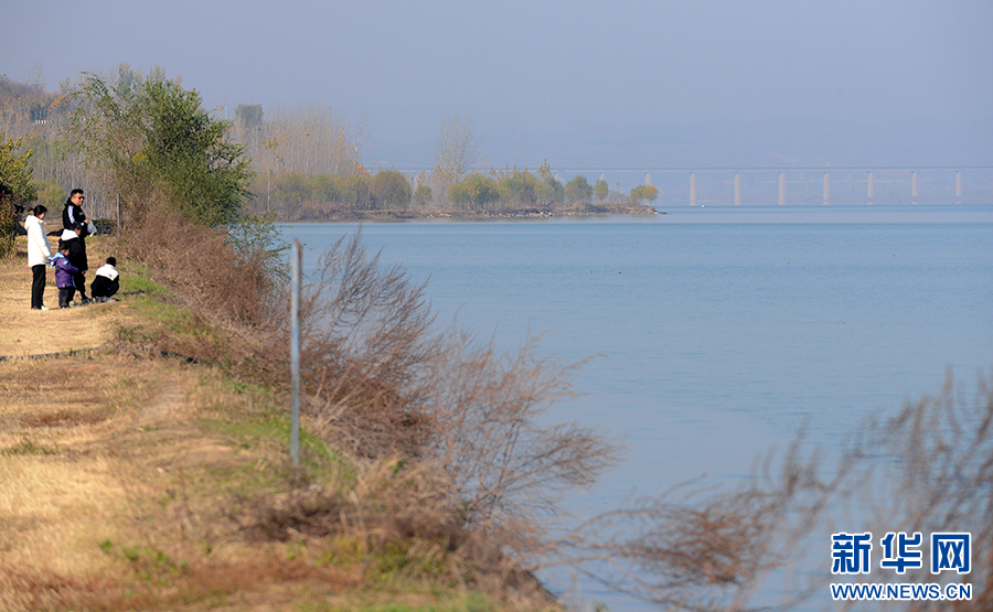 河南洛陽(yáng)：黃河廊道“串起”生態(tài)美景