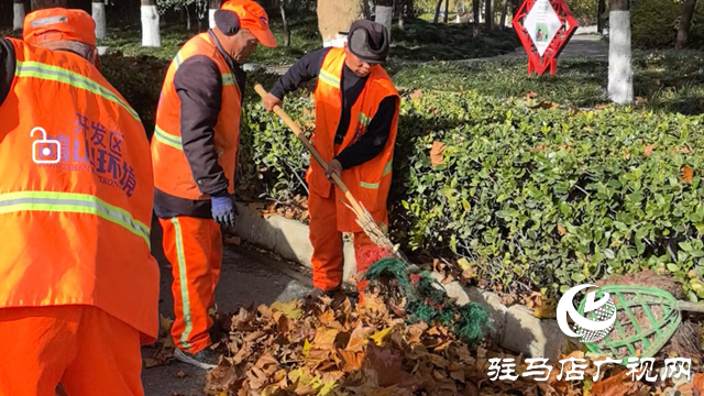 一夜風(fēng)吹滿地黃 環(huán)衛(wèi)清掃落葉忙