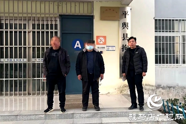 平輿法院人民法院院長凌晨帶隊集中執(zhí)行強(qiáng)制拘留5人