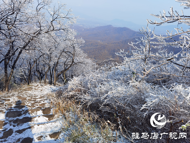 【組圖】駐馬店金頂山：漫山玉樹瓊枝如夢如畫