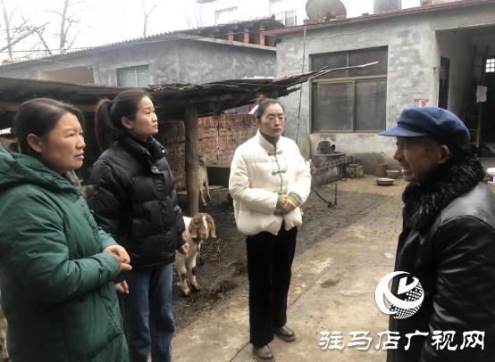 平輿縣東皇街道：“五星”支部創(chuàng)建讓社區(qū)搭上了發(fā)展的“高鐵”