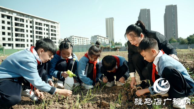 河南省第四批中小學(xué)勞動(dòng)教育特色學(xué)校公示 駐馬店市第二十八小學(xué)榜上有名