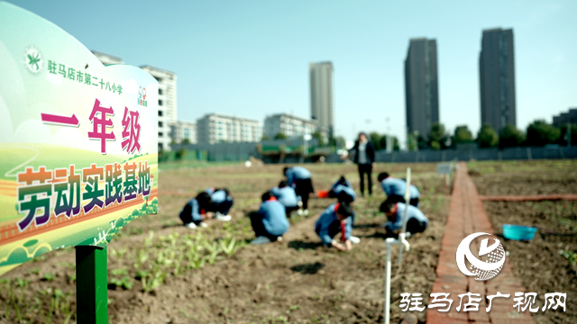 河南省第四批中小學(xué)勞動(dòng)教育特色學(xué)校公示 駐馬店市第二十八小學(xué)榜上有名