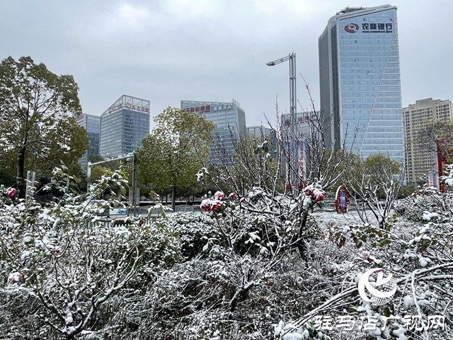 駐馬店：飛雪紛紛 美景如畫