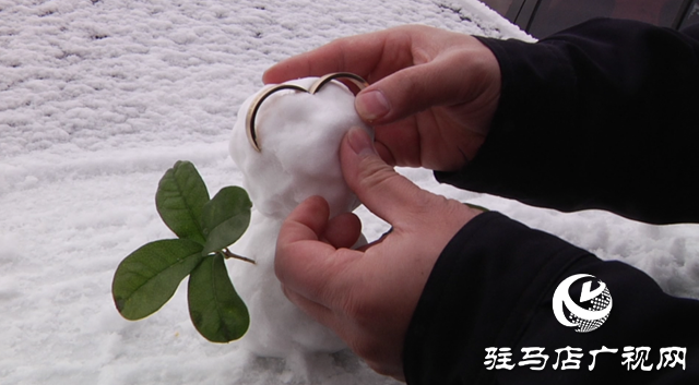 駐馬店：飛雪紛紛 美景如畫