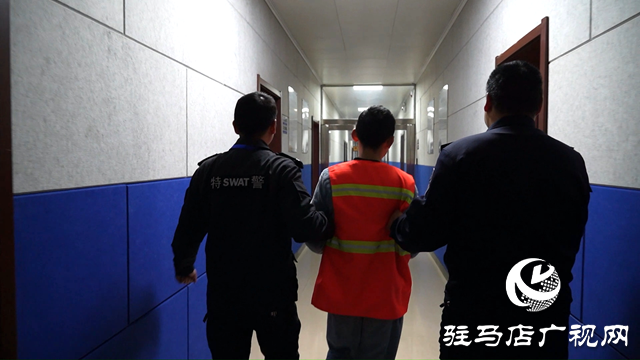 民警郭明鷺：抓賊一路“狂飆”的刑偵尖兵