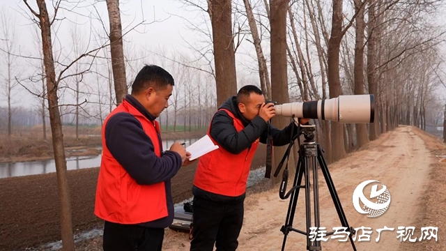 寒冬，他們在宿鴨湖濕地守護候鳥