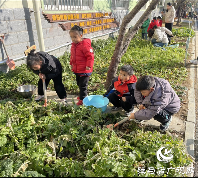 食育有方！駐馬店這家幼兒園被評為特色幼兒園