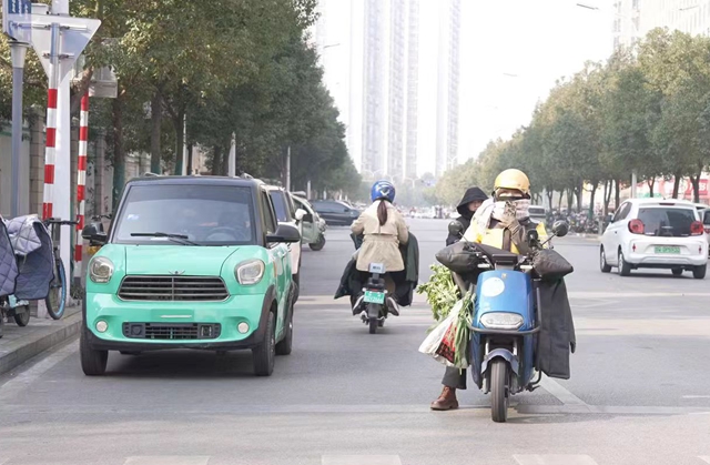 馬路“低頭族”  安全隱患多