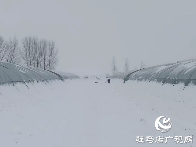 無人機(jī)助力農(nóng)業(yè)大棚除雪