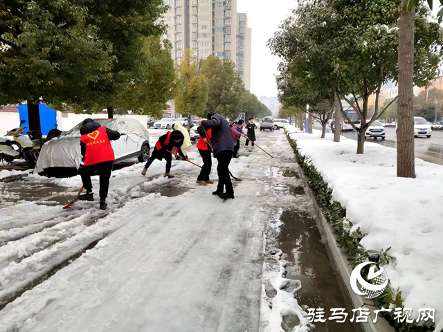 平輿縣司法局開展“清積雪 保出行”志愿服務(wù)活動