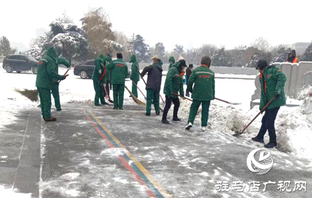 遂平縣園林綠化中心：除雪護綠 全力保障市民安全游園