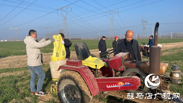 雨雪寒潮來(lái)臨 專(zhuān)家提醒：麥田趁雪追肥 促弱轉(zhuǎn)壯奪豐收