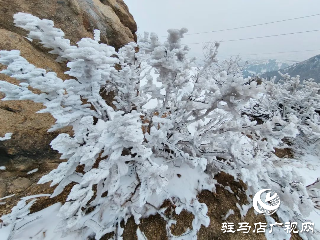 美呆了！羅漢山開啟雪凇、霧凇雙景齊現(xiàn)模式