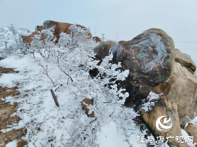 美呆了！羅漢山開啟雪凇、霧凇雙景齊現(xiàn)模式