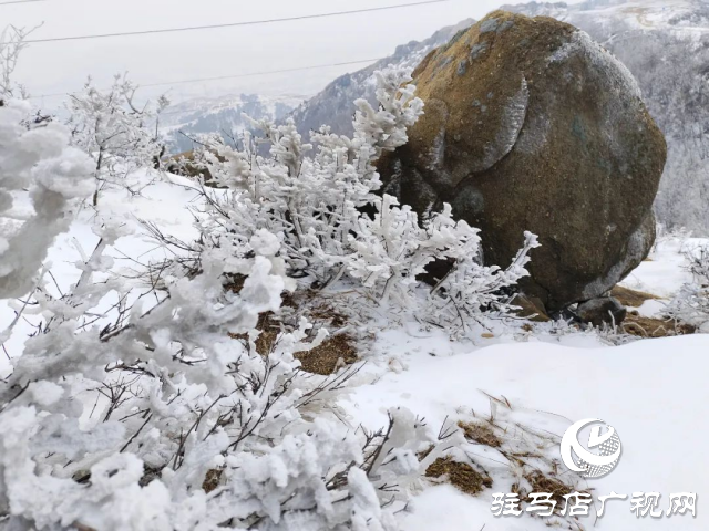 美呆了！羅漢山開啟雪凇、霧凇雙景齊現(xiàn)模式