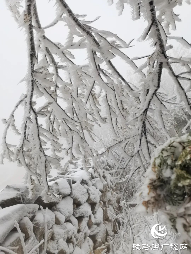 美呆了！羅漢山開啟雪凇、霧凇雙景齊現(xiàn)模式