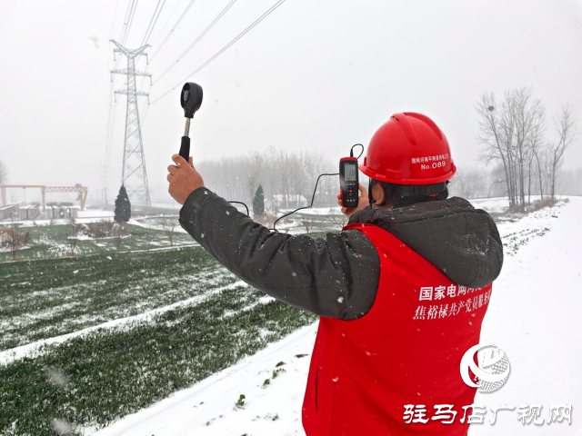 國網(wǎng)平輿縣供電公司：踏雪破冰護(hù)電網(wǎng)  寒潮逆行保民生