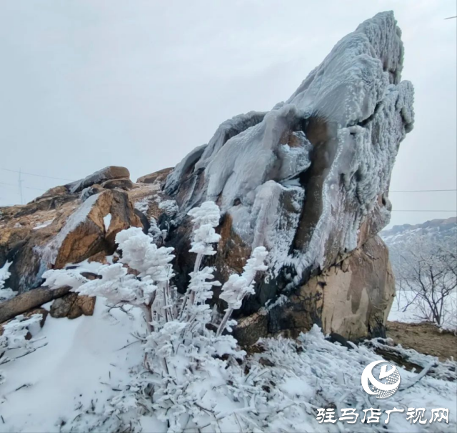 美呆了！羅漢山開啟雪凇、霧凇雙景齊現(xiàn)模式