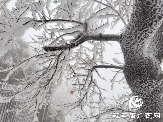 美呆了！羅漢山開啟雪凇、霧凇雙景齊現(xiàn)模式