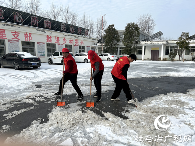 新蔡縣頓崗鄉(xiāng)團委開展學雷鋒做好事掃雪除冰志愿服務活動