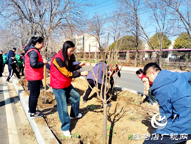 西平縣城管局園林綠化中心：春光無限好植樹正當時