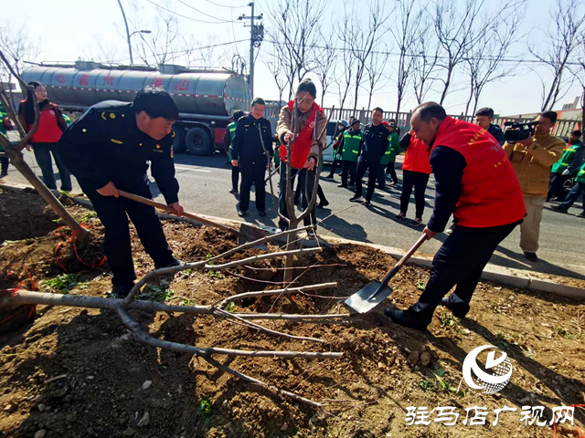 西平縣城管局園林綠化中心：春光無限好植樹正當時