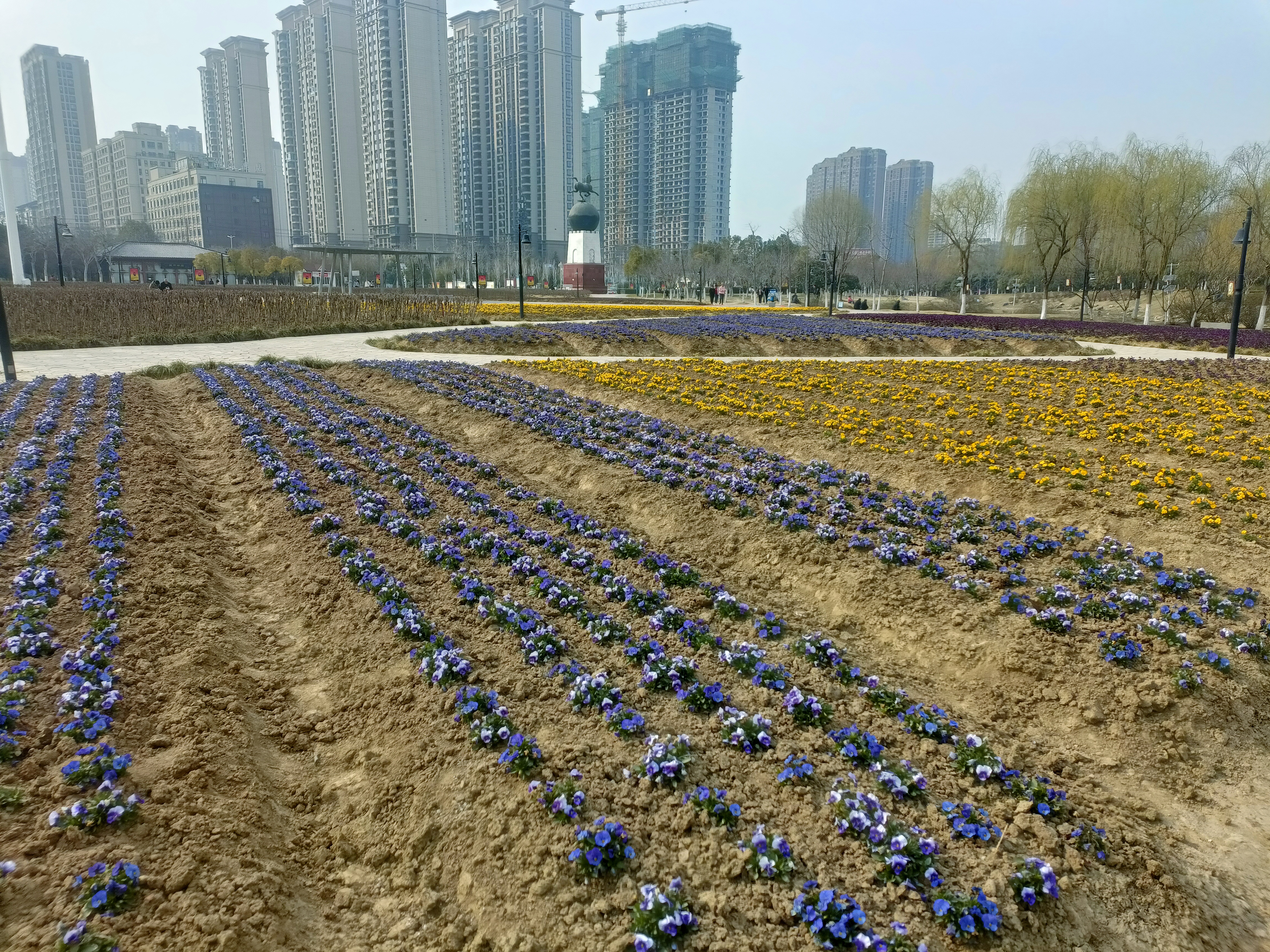 蝴蝶花開繪春色