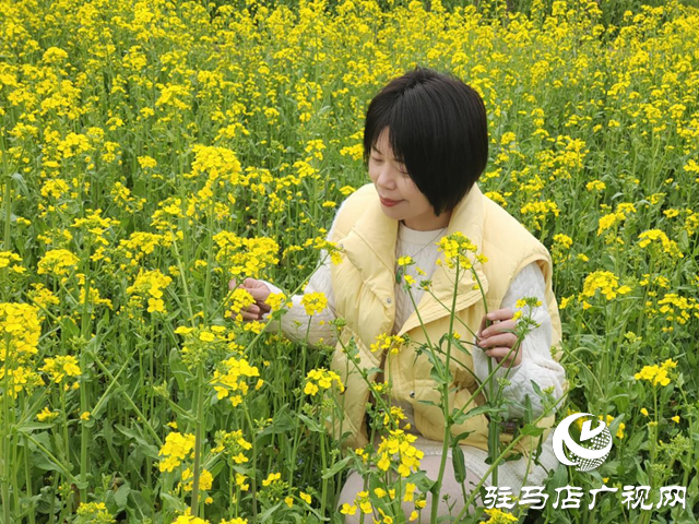 油菜花開春意濃